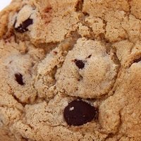 Cookie Desnuda
